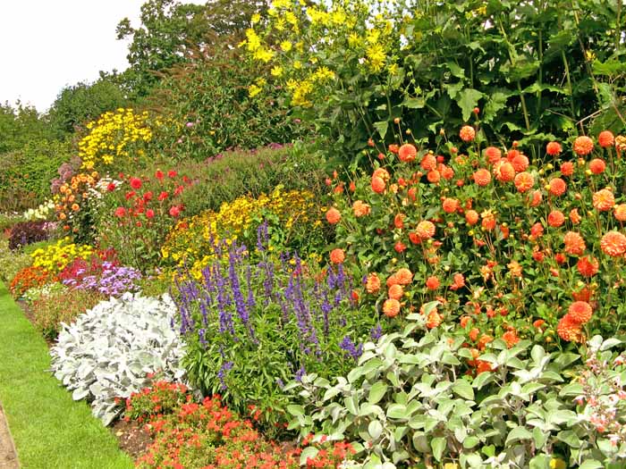 A beautiful sunny multi coloured and  leveled border in a stately home