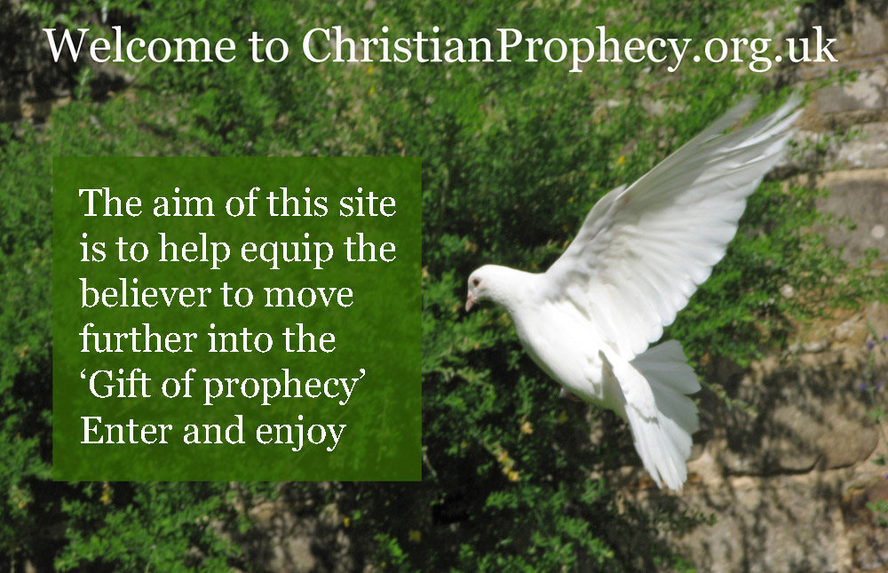 Image of a white dove flying with the text 'The aim of this site is to help eqip the believer to move further into the 'Gift of prophecy' enter and enjoy