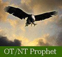 Old Testament verses New Testament prophet