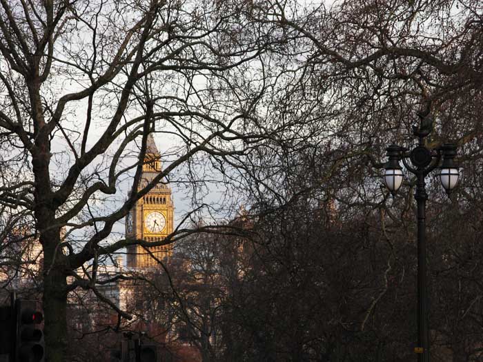 Photo of Big ben lit by the setting sun amidst dark trees