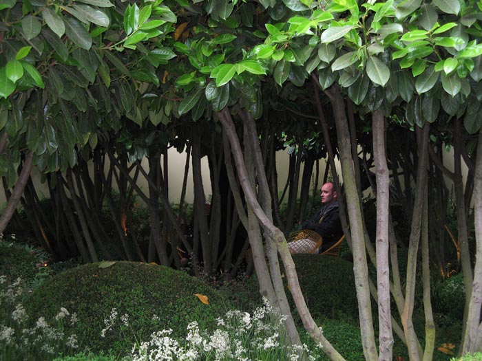 Photo of a man sitting in a quiet glade surrounded by trees